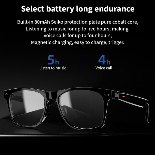 E13-C  Audio Sunglass